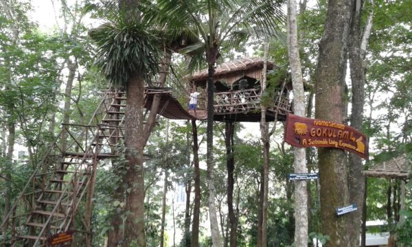 Vanya Tree House - Image 2