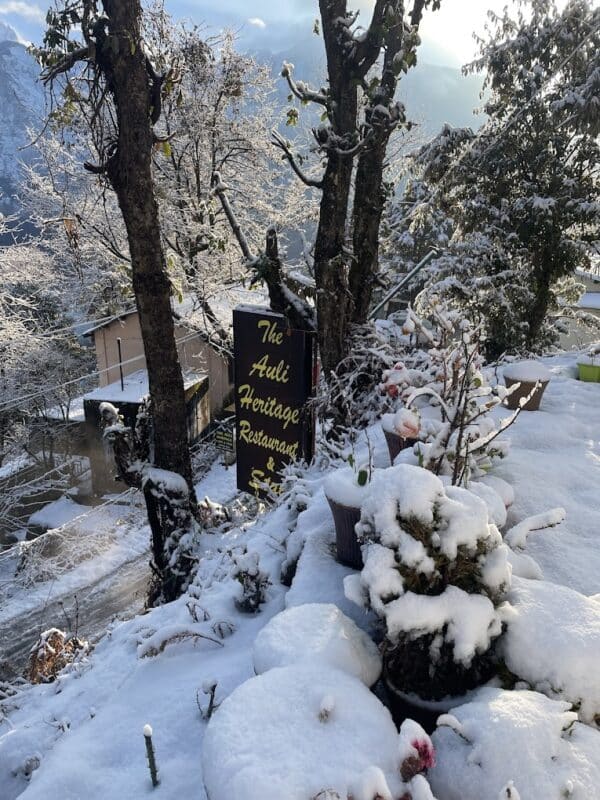 The Auli Heritage - Image 3