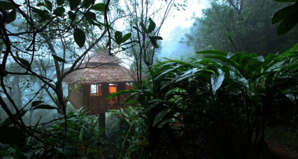 Vanya Tree House - Image 3