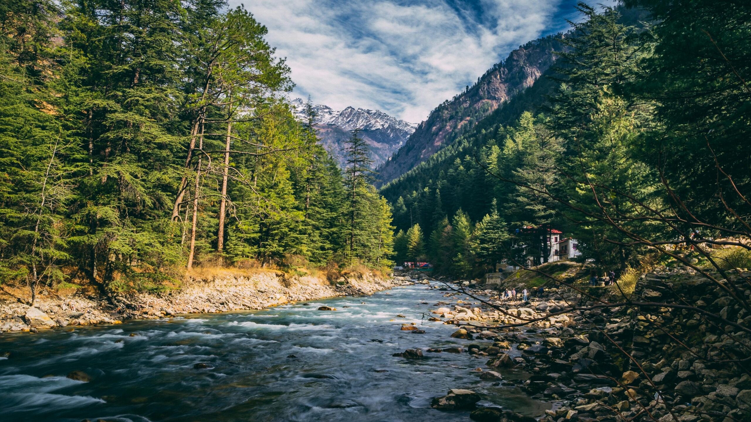 Beautiful landscape of river flowing through coniferous forest in Kasol, India with mountains in the background.