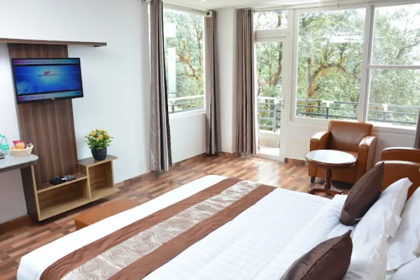 DLS Hotel Shiva Sanctuary and Spa - Image 4