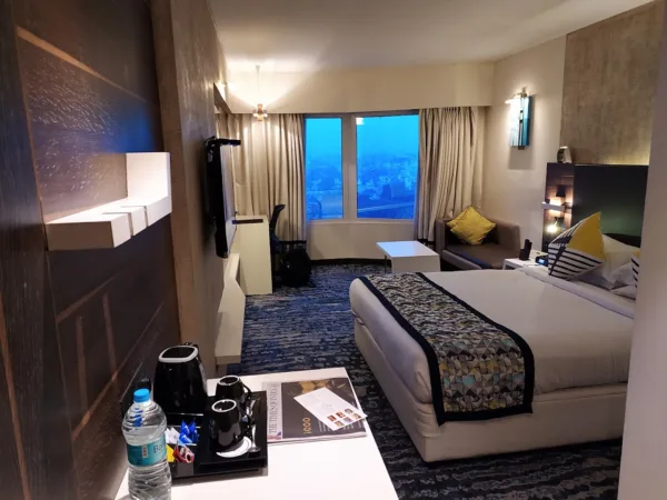 Sayaji Hotel - Image 12