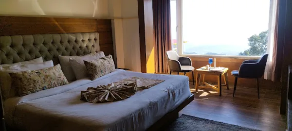 YASHSHREE MUSSOORIE - Image 14